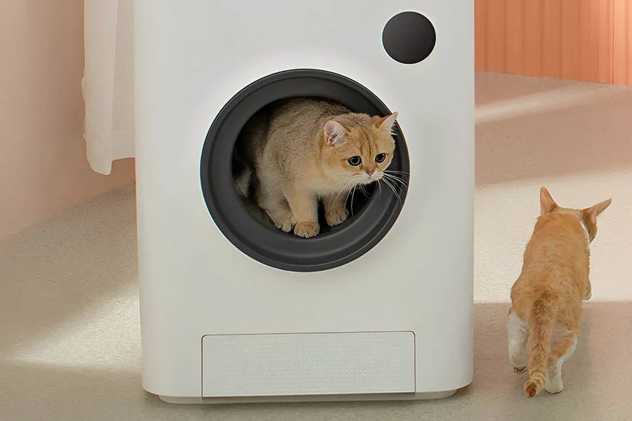 best automatic litter box for multiple cats